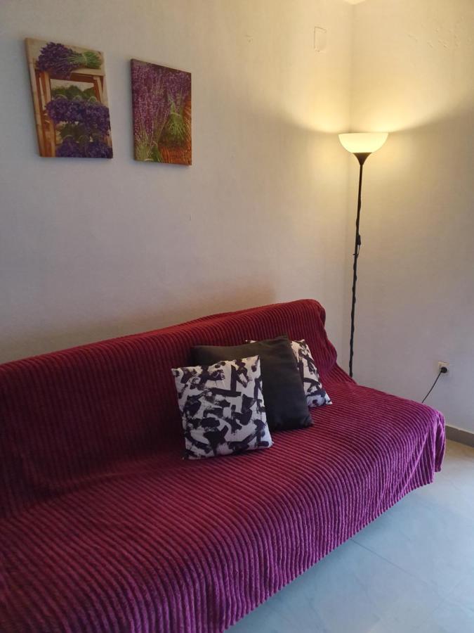 Lavender Apartments Drage Extérieur photo